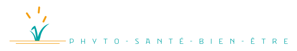 Logo horizontale pour fond foncé