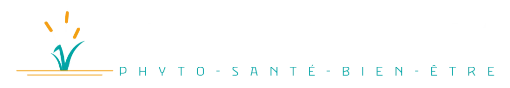 Logo horizontale pour fond foncé