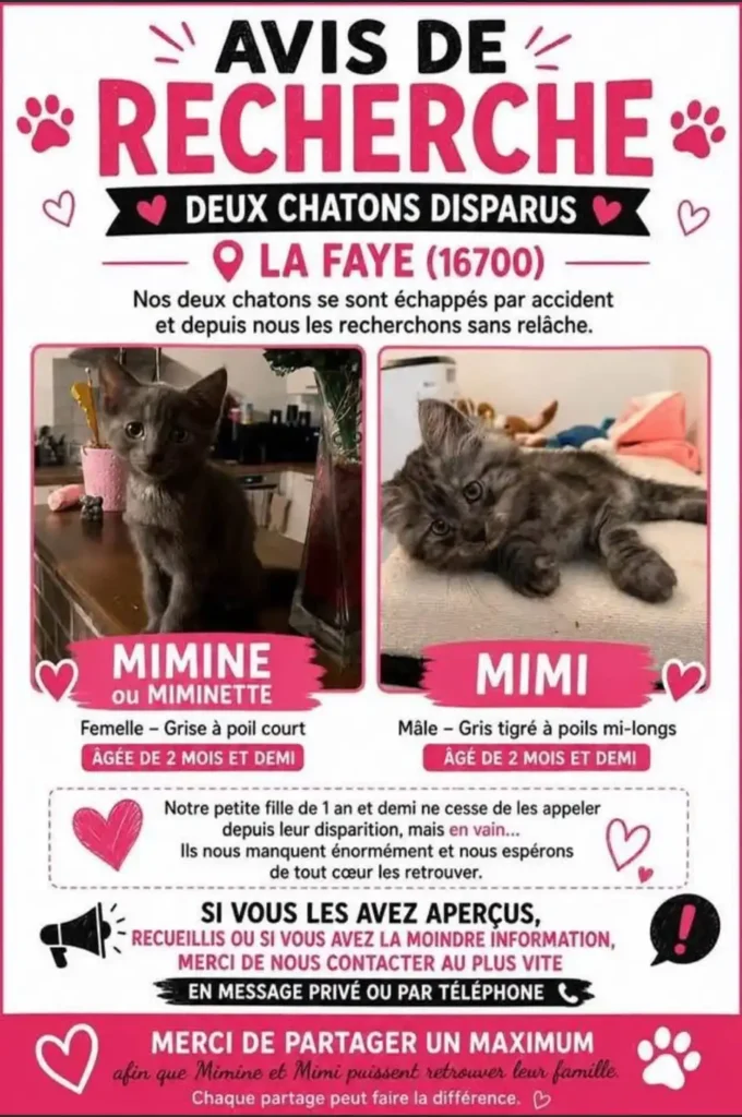 affiche ia animaux perdu