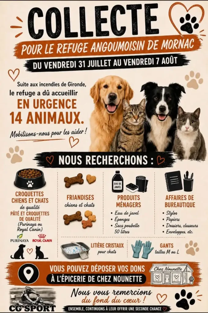 affiche collecte de dons ia