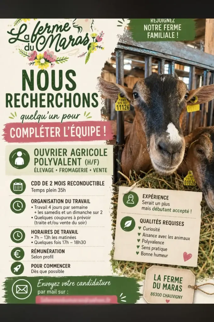 affiche offre d'emploi ia